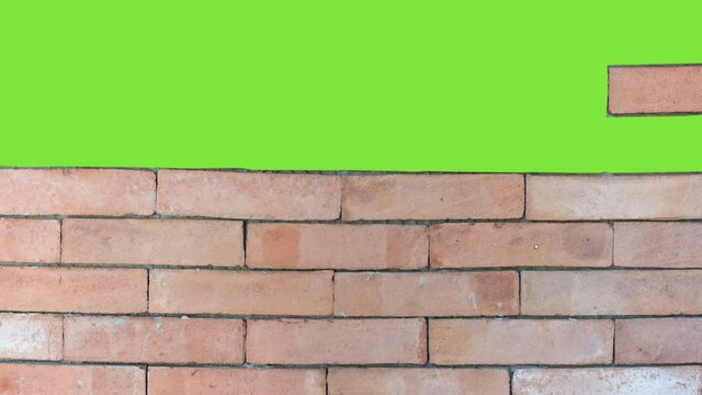 Brick wall construction. Red bricks installing, building wall. Concept of construction, protection, craftsmanship and module structure. Green background for chroma key