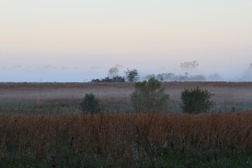 Fototapeta premium Foggy Field