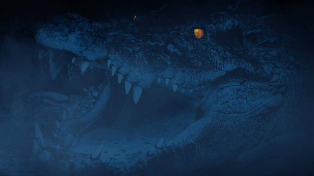 Crocodile Opens Mouth In Misty Swamp With Glowing Eyes