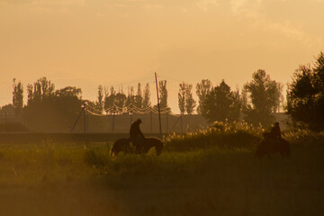 silhouette of a horse