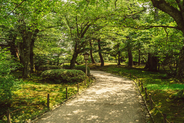 Fototapeta na wymiar 歩けば続く日本庭園の道