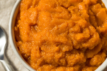 Raw Orange Organic Pumpkin Puree