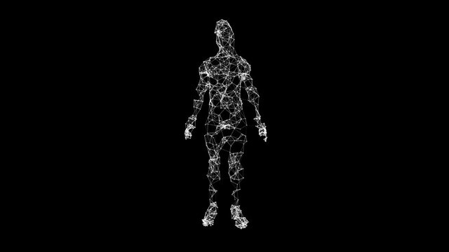 Low poly body animation of rotation from points and lines with changing link s for artificial intelligence medical and video editing. Futuristic digital concept with copy space loop 4k.