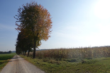 Schöne Landschaft in Donau-Ries, Bayern, Germany