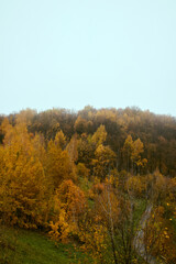 Fototapeta premium autumn in the hills
