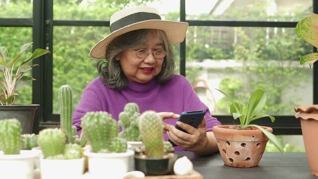 Asian elderly women live at home. She holds a smartphone to chat online with her friends. Happy to plant trees, relax and be healthy. The concept of living for the elderly in retirement