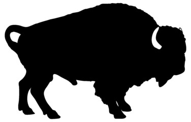 Black and white vector silhouette of a male American bison, isolated on white background.