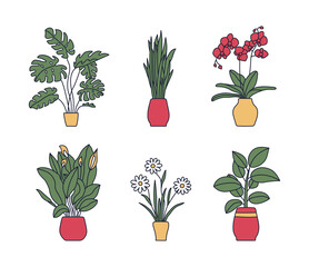 Indoor plant in a pot. Monstera, philodendron, orchid, peace lily, chamomile and snake plant. Sketch bundle