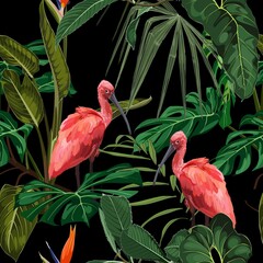 Panele Szklane  Birds Scarlet Ibis in the thickets of a flowering rainforest. Hand drown  illustration. Tropical jungle on black background.