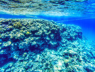 Coral reefs at Red Sea during sunny summer day.
