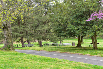 Picnic Tables Sit Under Green Trees ans Near Eastern Red Bud Trees and Next to a Large Picnic Pavilion in Early Spring