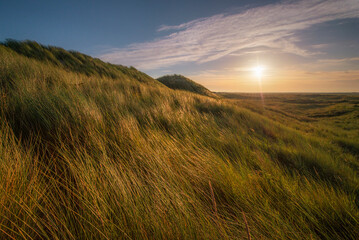 beach of Ameland in the morning 3