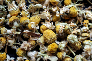 Background of dry chamomile flowers. Flat lay. Close up