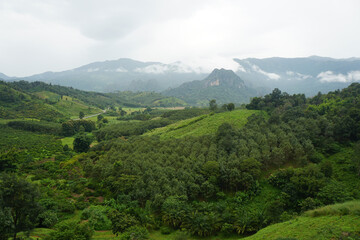 Fototapeta premium Beautiful natural scenery of mountains and forests of Nan province, Thailand.