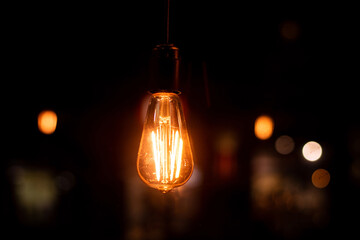 Vintage retro electric light bulb