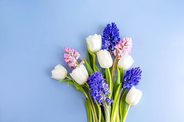 spring flowers, white tulips, blue and pink hyacinth on a blue background