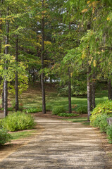A Path in the Park