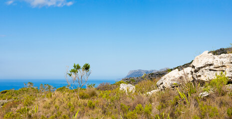 Coastal mountain landscape with fynbos flora in Cape Town