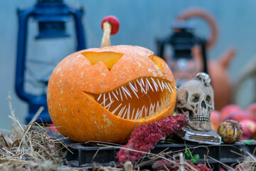 carved pumpkin with a scary smile, spiders and cobwebs, skull, autumn dry leaves, grass background, decoration and holiday concept, carved pumpkin for a fun party
