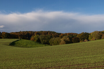 Hügel Landschaft mit Winterweizen Feld im Herbst.