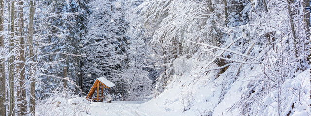 Winter landscape, banner - view of the snowy road in the winter mountain forest after snowfall