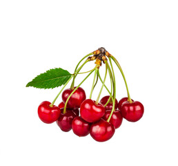Sweet cherry fruits isolated on a white background