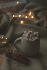 cup of cocoa with marshmallows on fabric with christmas lights and guitar