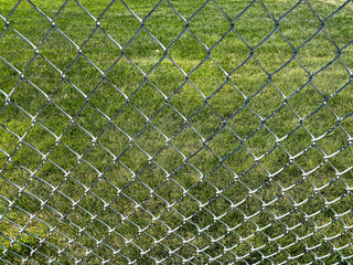 green grass park lawn backyard garden chainlink chain link fence security nature background