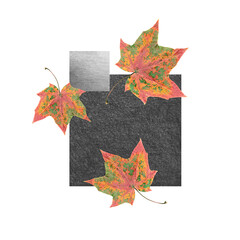Abstract graphic composition (collage) with scanned maple leaf. Autumn concept. Isolated on a white background. For prints, cards, designs etc.	
