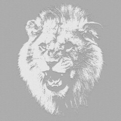 Hand drawn sketch of lion