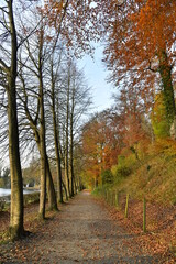 Fototapeta premium Chemin longeant l'étang du Moulin passant sous les feuillages rouges des arbres au site de l'abbaye du Rouge-Cloître à Auderghem