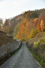 Chemin descendant en pavés longeant le mur d'enceinte de l'abbaye du Rouge-Cloître vers les feuillages multicolores de la forêt de Soignes en automne à Auderghem