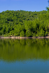 Fototapeta premium beautiful view of lake in the forest in summer