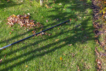 Beautiful view of cleaning the garden from fallen leaves in the fall. Autumn landscape. Fall season concept. Sweden.
