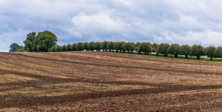 Acker und Baum Mecklenburg Vorpommern