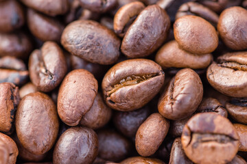 Close-up shot of aromatic Arabica coffee beans