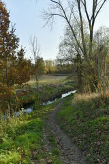 La Woluwe traversant la réserve naturelle en automne contrastant avec les immeubles d'appartements du quartier voisin à Woluwe-St-Lambert à l'est de Bruxelles 