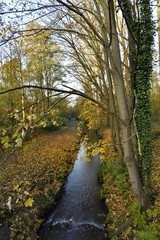 Le bois longeant le ruisseau la Woluwe en automne en fin de journée à Woluwe-St-Lambert à l'est...