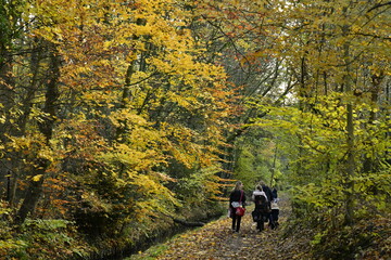 Promenade en famille le long de la Woluwe dans un décor automnal à Woluwe-St-Lambert à l'est de...