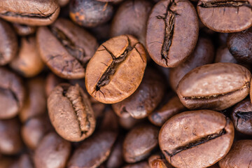 Close-up shot of aromatic Arabica coffee beans