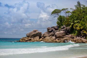 Fototapeta na wymiar Beautiful nature of the sea tropical landscape. Exotic tropical nature of the Seychelles, a white beach surrounded by palm trees and granite rocks.