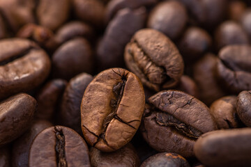 Close-up shot of aromatic Arabica coffee beans