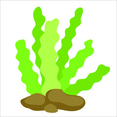 Coral icons. Cartoon of coral vector icons for web design