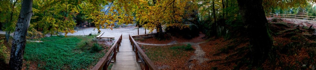 Panorama of a wooden bridge in the woods. Warm autumn on the leaves of trees.