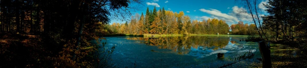 Fototapeta na wymiar Panorama of autumn lake. Mirror reflection in water, blue sky.