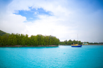 Obraz premium Beautiful nature of the sea tropical landscape. Exotic tropical nature of the Seychelles, a white beach surrounded by palm trees and granite rocks.