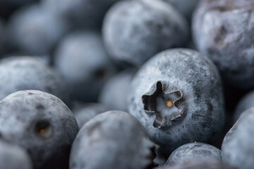 Close-up shot of delicious vibrant coloured blueberries