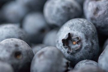 Close-up shot of delicious vibrant coloured blueberries