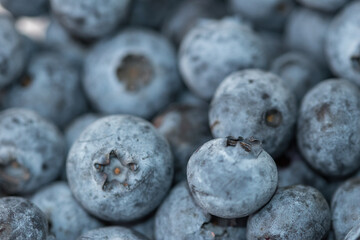 Close-up shot of delicious vibrant coloured blueberries