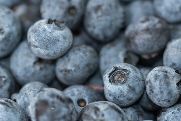 Close-up shot of delicious vibrant coloured blueberries
